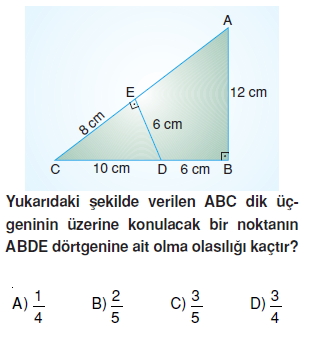 8sinifolasilikkt5_010