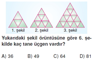 8siniforuntulerveiliskilerkt3_005