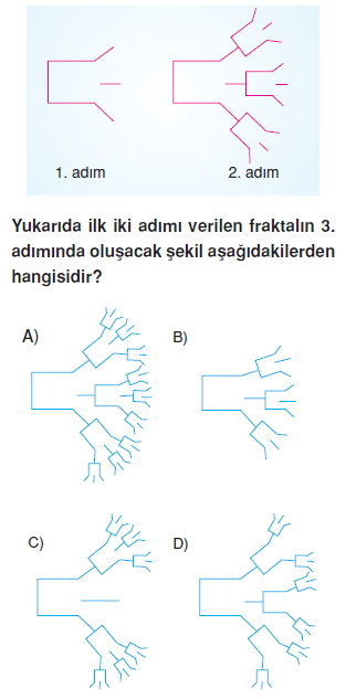 8siniforuntuvesuslemelerkonutesti1_005