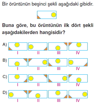 8siniforuntuvesuslemelerkonutesti3_010