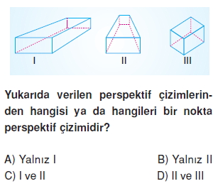 8sinifperspektifct_006