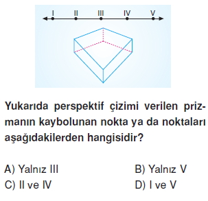 8sinifperspektifct_010