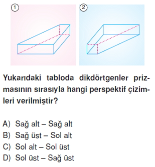 8sinifperspektifct_011