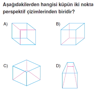 8sinifperspektifkt1_005