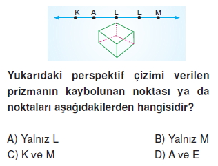 8sinifperspektifkt2_001