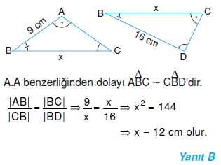 8sinifucgenlerdeeslikvebenzerlikc_004