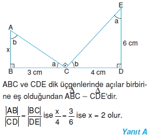 8sinifucgenlerdeeslikvebenzerlikc_006