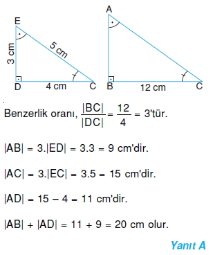 8sinifucgenlerdeeslikvebenzerlikc_009