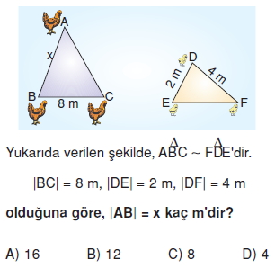 8sinifucgenlerdeeslikvebenzerlikkt1_005