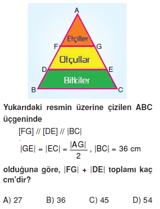 8sinifucgenlerdeeslikvebenzerlikkt3_004