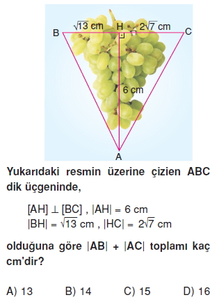 8sinifucgenlerkt3_005