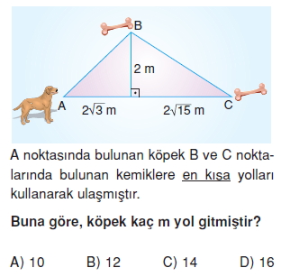 8sinifucgenlerkt4_002