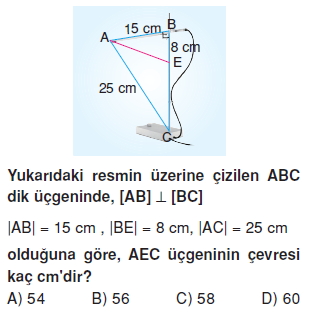 8sinifucgenlerkt4_008