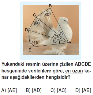 8sinifucgenlerkt5_002