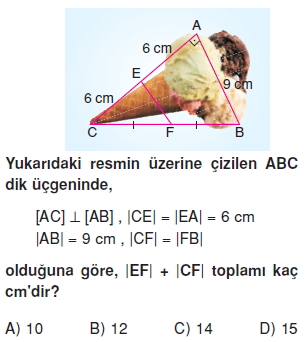 8sinifucgenlerkt5_007