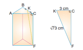 8sinifucgenprizmac_009