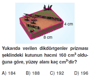 8sinifucgenprizmact_005