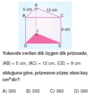 8sinifucgenprizmact_006