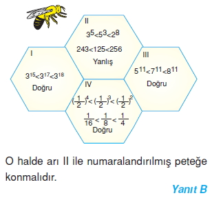 8sinifuslusayilarcozumler_015