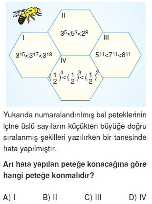 8sinifuslusayilarcozumlutest_015