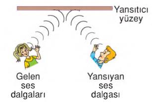 ses dalgaları