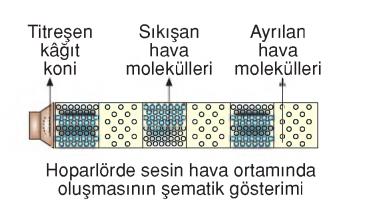 sesin yayılması