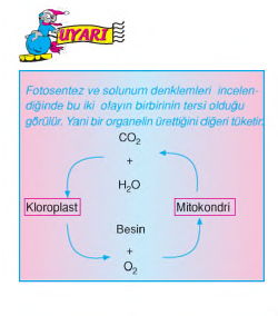 uyarı