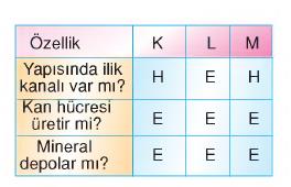 vücudumuzdaki sistemler