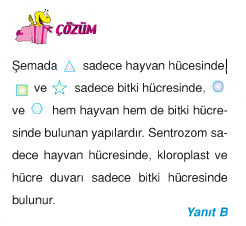 çözüm