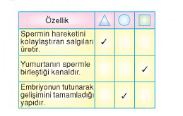 örnek soru