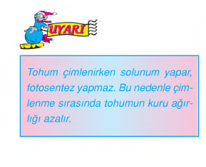 şekil