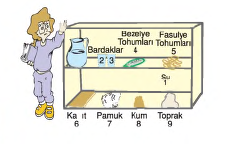 şekil