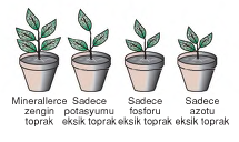 şekil