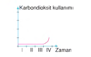 şekil