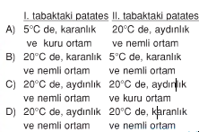 şekil