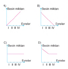 şekil