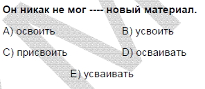 2006mayiskpdsruscasoru_006