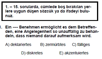 2007mayisalmancasoru_001