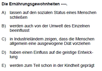 2007mayisalmancasoru_080