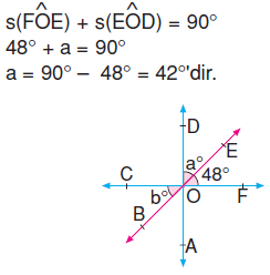 6.sinif-acilari-olcme-48