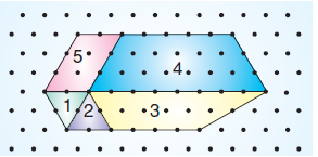 6.sinif-cokgenler-18