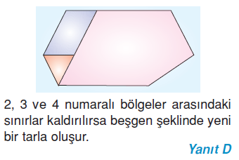 6.sinif-cokgenler-20