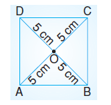 6.sinif-cokgenler-41