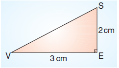 6.sinif-cokgenler-48