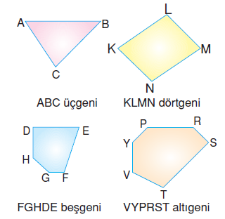 6.sinif-cokgenler-5