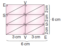 6.sinif-cokgenler-51