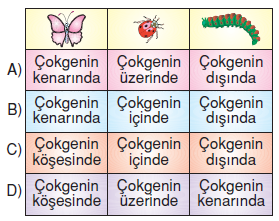 6.sinif-cokgenler-7