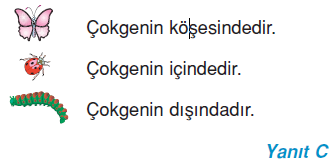 6.sinif-cokgenler-8