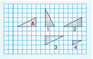 6.sinif-eslik-ve-benzerlik-17