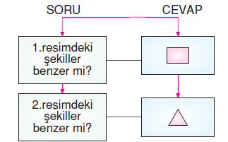 6.sinif-eslik-ve-benzerlik-57